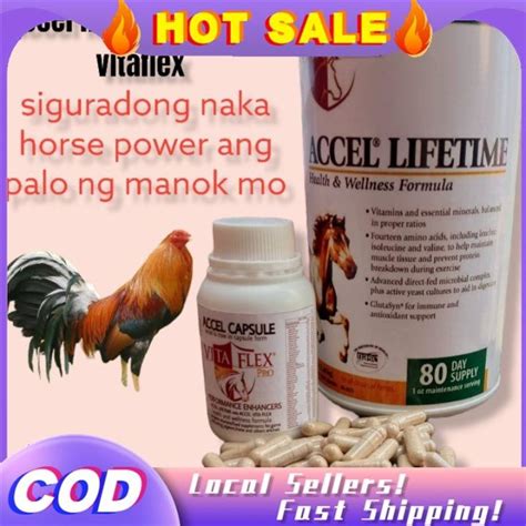 accel for gamefowl|Accel lifetime capsule/vitaflex pro for gamefowl/pigeons/etc.